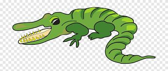 Now, without wasting any time take a paper, pencil and start drawing with me. Alligator Cartoon Drawing Alligator Animals Tyrannosaurus Png Pngegg