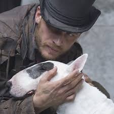 Mad dogs and Englishmen