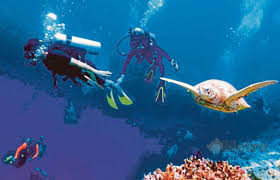 Program pembangunan infrastruktur di perkampungan orang asli semenanjung malaysia. Empat Tahun Nak Pulih