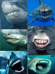  10 Funny Memes Ideas Gambar Kelakar Gambar