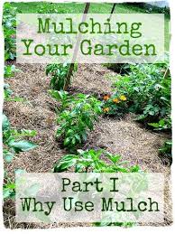 Always call ahead to ask permission and make sure overnight parking is allowed. 8 Garden Ideas Planting Flowers Garden Garden Compost