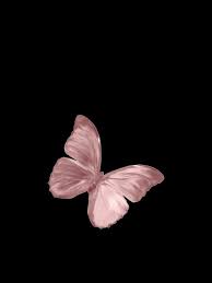  Pin Oleh Roz Di Picsart Seni Horor Latar Belakang Wallpaper Ponsel