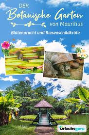 Botanischer Garten Von Mauritius Wunderschon Und Einmalig In 2020 Reisen Mauritius Und Mauritius Urlaub