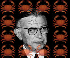 They readily grow roots from during the dark time of year, root growing may be slower, that is why most people do their cuttings in late spring to late summer. The Paris Review Sartre S Bad Trip The Paris Review
