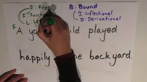 Morphemic structure of english words. Morphology Episode 3 Lexical Functional Morphemes Youtube