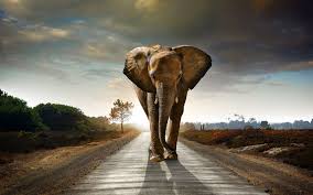 Browse 35,028 kenya landscape stock photos and images available, or search for african landscape or nairobi to find more great stock photos and pictures. African Landscape Wallpapers Group 75