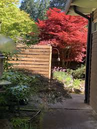 Pin On My Garden Now