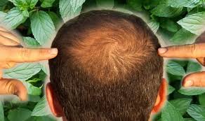 I really only used it a few times. Hair Loss Treatment The Delicious Smelling Essential Oil Proven To Help With Hair Loss Sound Health And Lasting Wealth