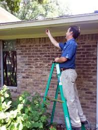 Pests can include use rodent control devices such as poisonous bait stations: 24 Biting Bugs Ideas Pest Control Pests Bugs