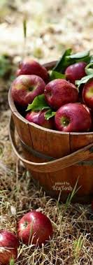 This is a unique place to enjoy special events within view of the peaks of otter mountains. U R Everything To Me Shyam I Don T Need To Know Your Past I Love U Unconditionally Now U Can Sleep Muaaaah Fall Apples Fruit Photography Apple Farm