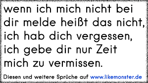 Wenn Ich Mich Nicht Bei Dir Melde Heißt Das Nicht Ich Hab Dich