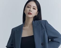 한예슬 '한명한명 진행되고 있네요' 악성댓글 네티즌 수사결과 공개