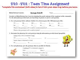 100,101 gregor mendel and pea plant genetics (pg. Introduction To Genetics Powerpoint