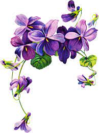 Purple flowers illustration, lilac watercolor painting flower violet, floating flower, purple, branch png. Violet Flower Tattoos Flower Tattoo Drawings Violet Tattoo