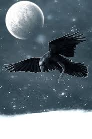 Übersetzung für das wort holló hollónak nem vájja ki a szemét auf deutsch. Hollo Varju Madar Ingyenes Kep A Pixabay En