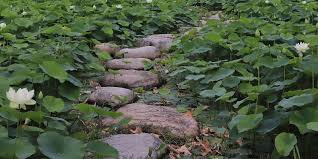 Scegli la consegna gratis per riparmiare di più. Consigli Su Come Realizzare Un Camminamento In Pietra In Giardino