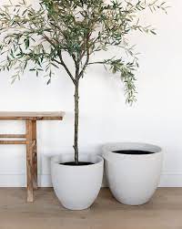 Contemporary Tapered Planters Set Of 2 In 2021 Faux Olive Tree Indoor Olive Tree Planters