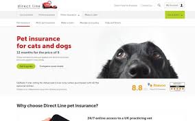 Jul 26, 2021 · pet insurance gives you a way to protect against the potential financial shock of a pet who needs extensive or expensive medical treatment. Best Pet Insurance And How To Find The Right Cover