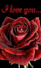 # love # flowers # chippythedog # bouquet # lov. Decent Image Scraps I Love You I Love You Gif Love You Gif Beautiful Flowers Images
