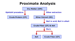 Ans 312 Applied Animal Nutrition Feedstuffs And Ration Formulation Osu Extended Campus Oregon State University