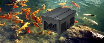 The ee20 engine had an aluminium alloy block with 86.0 mm bores and an 86.0 mm stroke for a capacity of 1998 cc. 5 Best Koi Pond Filters Reviewed In Detail Jul 2021