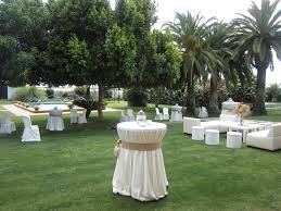 Image result for Atalaya alata