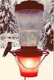 Amazon Com Hummer Hearth Hummingbird Feeder Heater Made In The U S A Feeder Not Included Ga In 2021 Humming Bird Feeders Glass Hummingbird Feeders Bird Feeders