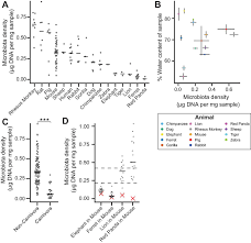 gut microbiota density influences host physiology and is