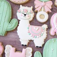 Why do my cactus (the ones with the colorful cactus 'balls' grafted onto a green cactus base) develop flower buds, but never fully open? Llama Cookies Llama Baby Shower Cactus Cookies Baby Shower Cookies Blushbakeryca Sugar Cookies Decorated Cookie Decorating Cute Cookies