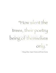 How Silent The Trees Their Poetry Being Of Themselves Only Mary Oliver Swan Poems And Prose Poems Environmen Mary Oliver Poems Prose Poem Nature Quotes