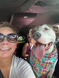 can i give childrens benadryl? thats all we have in the house right now?