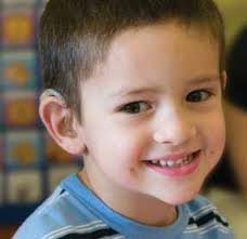 ANNUAL REPORT 2008|2009