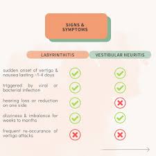 Image result for Bacterial Labyrinthitis
