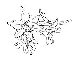 Pin En Outlines