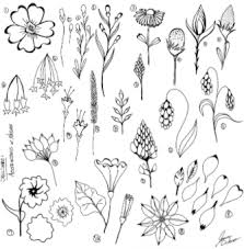 This blog post reveals a collection of botanical illustrations and flower there are numerous types of orchids and they come in a variety of colors. 15 Sketching Tips And 50 Pencil Sketches For Inspiration Skillshare Blog