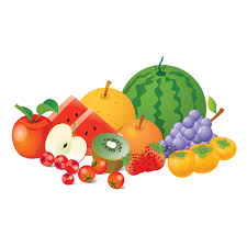Fruit Collection Vector Png Fruits Element Fruit Collection Fruit Vector Png Fruits Element Png And Vector With Transparent Background For Free Download Seni Ilustrasi Buah
