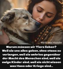 Rachel war Tierpflegerin und musste jahrelang mitansehen, wie ein alter Bär  namens Milo hinter Gittern langsam dahinsiechte.