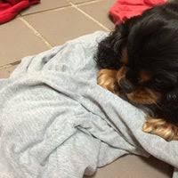 We did not find results for: My Pets Vet 2 Tips