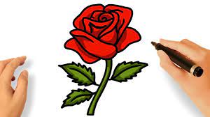 Comment dessiner une rose facile en version ouverte. Comment Dessiner Une Rose Facile Youtube