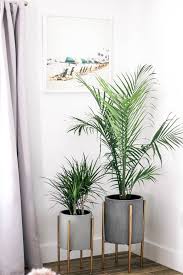 34 ideas para decorar tu sala con plantas. How I Did A 500 Living Room Refresh To Decorate The Space On A Budget Ideas F Plantas Para Decorar Decoracion De Casa Con Plantas Plantas Interior Decoracion