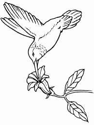 birds hummingbird animals coloring pages coloring book vogel malvorlagen holzschnitzmuster holz gravieren vorlagen