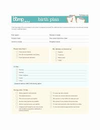 Visual Birth Plan Template Free Editable Printable Birth Plan Template Luxury 47 Printable Birth Plan Templates Birth Plan Checklist In 2020 Birth Plan Template Birth Plan Checklist Birth Plan Examples