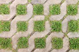 Grasses Growing Between Floor Paving Block Stones Grass Paving Paving Garden Crafts