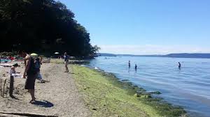 dash point state park map