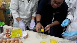 Supplier dan grosir telur ayam negri. Satgas Pangan Polri Hoax Telur Palsu Rugikan Pedagang Nasional Tempo Co