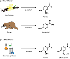 The Flavor Rundown Natural Vs Artificial Flavors Science In The News