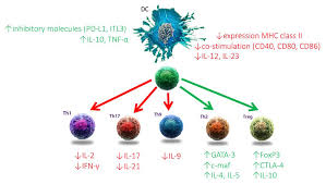 Nutrients Free Full Text Vitamin D S Effect On Immune Function Html