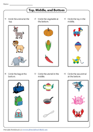 Let them use markers, crayons, colored pencils, dry. Top And Bottom Worksheets