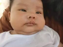 Pakwan 3up 2up 20 kilo..