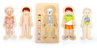 A fresh puzzle solving game. Layer Anatomy Puzzle Boy